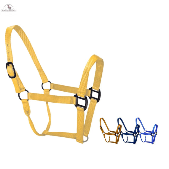 Premium Nylon Horse Halter NewEngland Tack