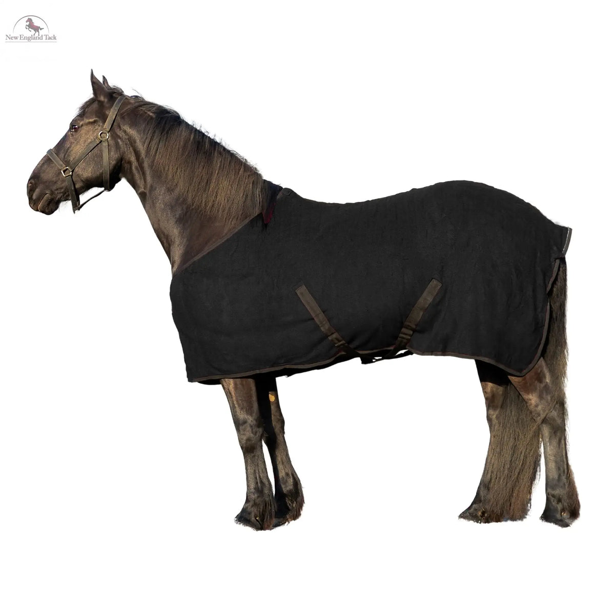 RESISTANCE Long Lasting & Warm Soft Fleece Color Cooler for Horse NewEngland Tack