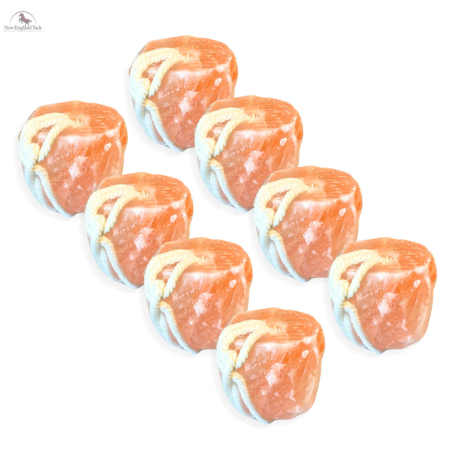 RESISTANCE Pink Himalayan Salt Lick Block with Rope for Horses, Cattle, Deer, Goats, and Livestock - 2 Lbs (Each Block Weight) NewEngland Tack