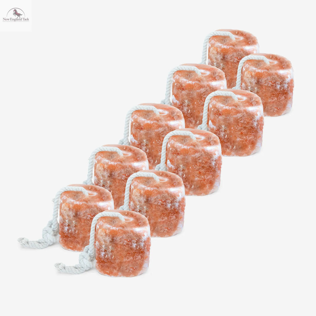 RESISTANCE Pink Himalayan Salt Lick Block with Rope for Horses, Cattle, Deer, Goats, and Livestock - 2 Lbs (Each Block Weight) NewEngland Tack
