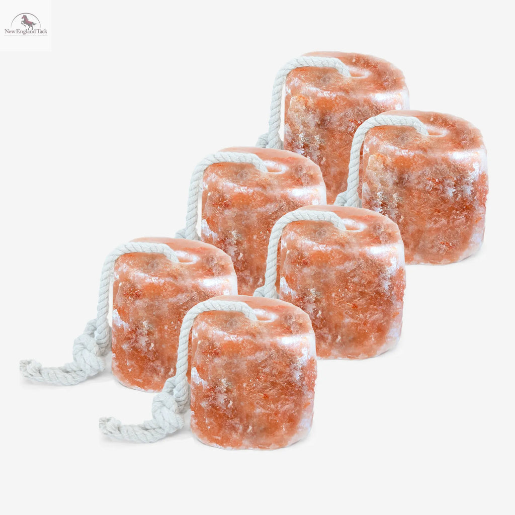 RESISTANCE Pink Himalayan Salt Lick Block with Rope for Horses, Cattle, Deer, Goats, and Livestock - 2 Lbs (Each Block Weight) NewEngland Tack