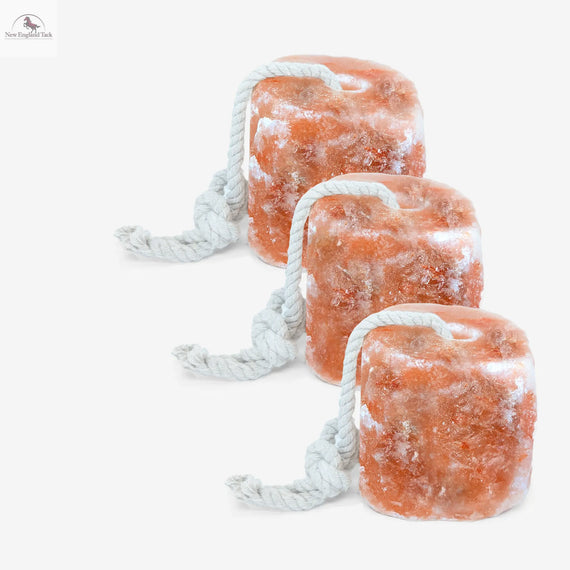 RESISTANCE Pink Himalayan Salt Lick Block with Rope for Horses, Cattle, Deer, Goats, and Livestock – 3 Lbs, 4 Lbs & 6 Lbs (Each Block Weight) NewEngland Tack