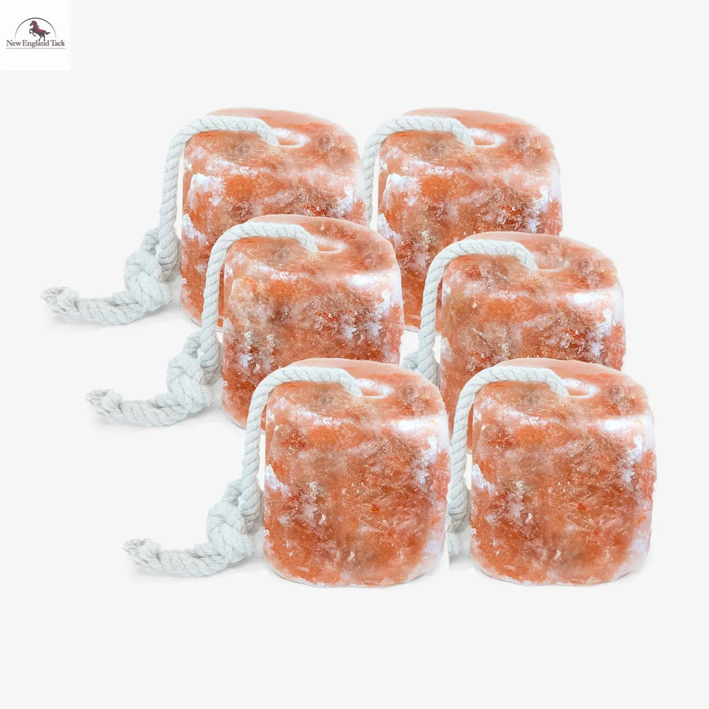 Resistance Pink Himalayan Salt Lick Block with Rope for Horses, Cattle, Deer, Goats, and Livestock – (Each Block Weight 6 lbs) NewEngland Tack