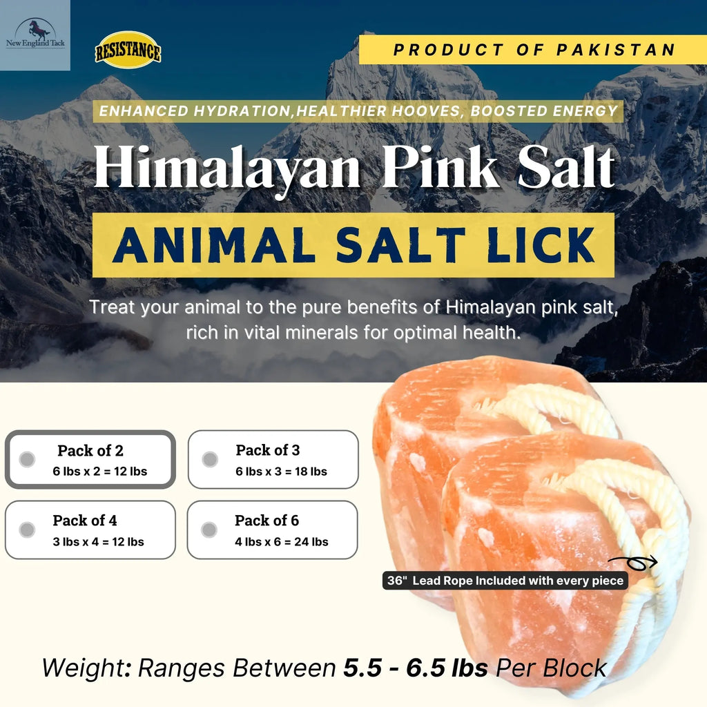 RESISTANCE Pink Himalayan Salt Lick Block with Rope for Horses, Cattle, Deer, Goats, and Livestock – (Each Block Weight 6 lbs) NewEngland Tack