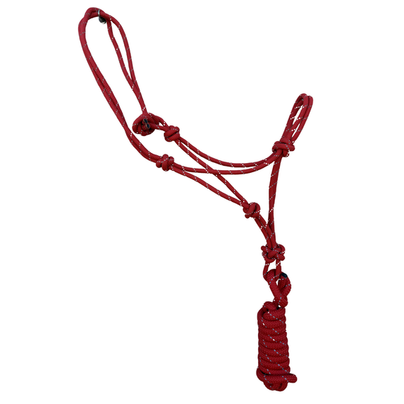 Reflective Nylon Rope Halter with 9Ft Lead | Adjustable Safety Night Glow Horse Halter