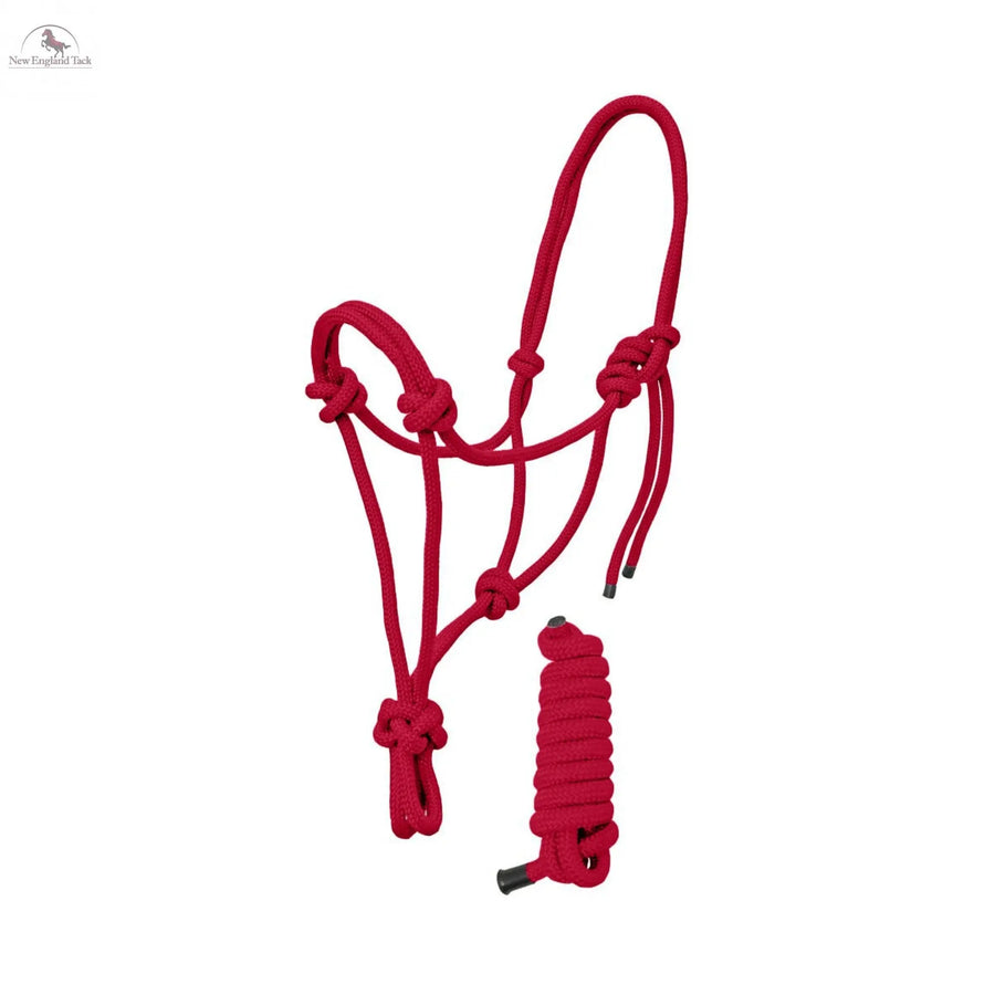 Resistance Plain Nylon Adjustable Rope Halter with Matching 6Ft Lead NewEngland Tack