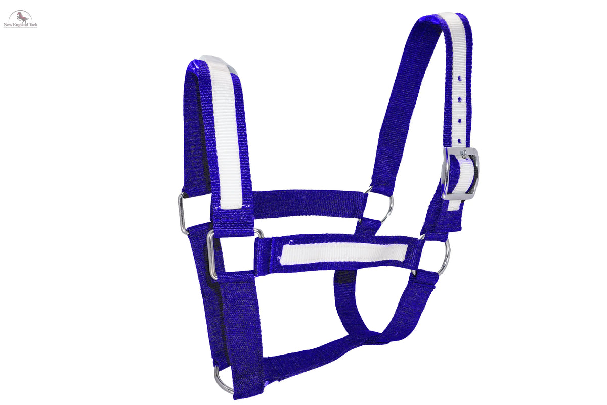 Resistance Premium Nylon Draft Halter with Overlay - Adjustable Horse Halter for Draft Size - Multiple Colors (Navy Blue, Black, Brown, Purple) - SS Hardware NewEngland Tack