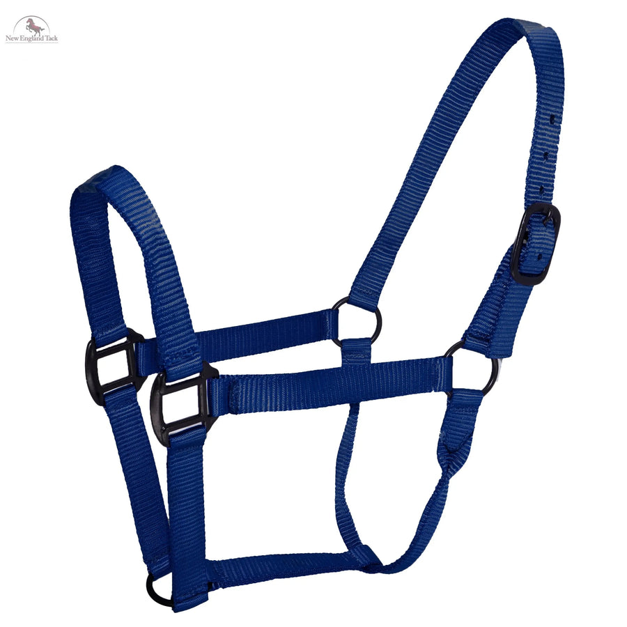 Resistance Premium Nylon Horse Halter - Horse Size - Brown, Royal Blue, Navy Blue & Amber Horse Supplies and Tack NewEngland Tack