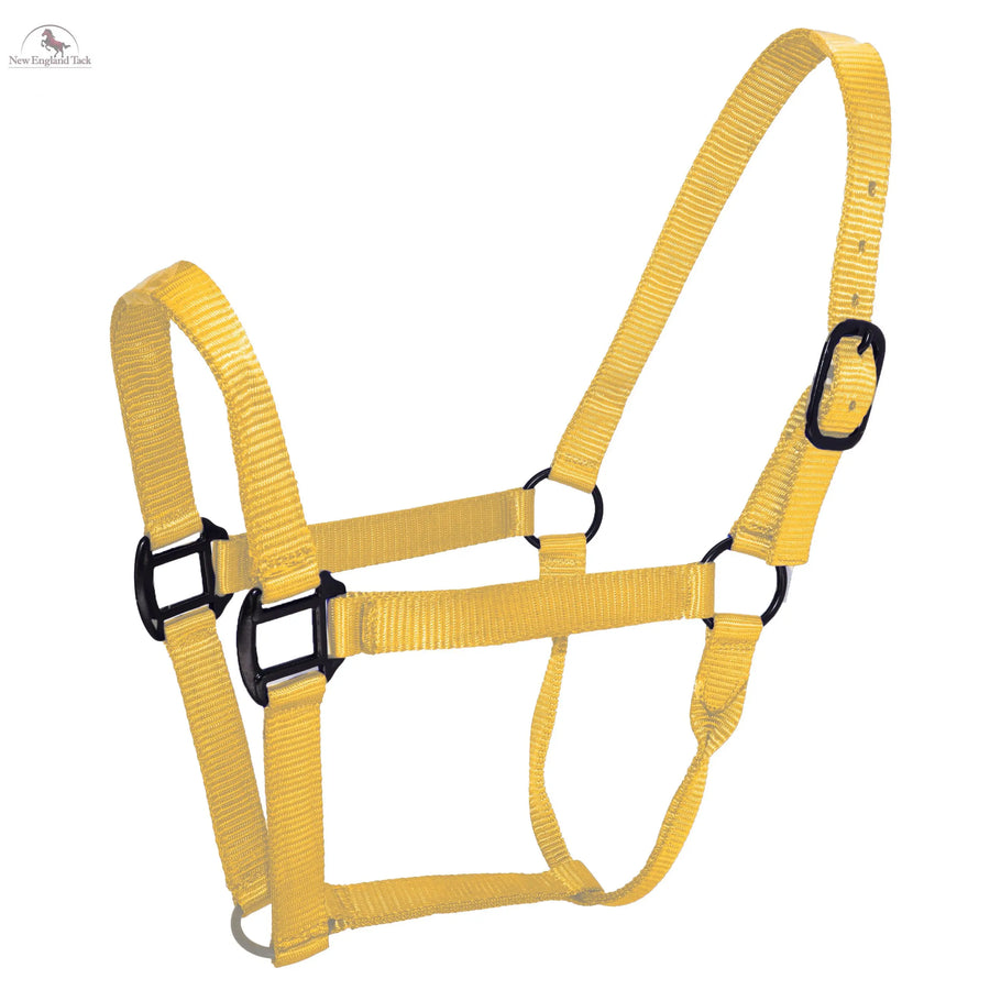Resistance Premium Nylon Horse Halter - Horse Size - Brown, Royal Blue, Navy Blue & Amber Horse Supplies and Tack NewEngland Tack