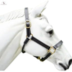Triple Stitched Halter with Adjustable Chin and Nose, Handmade Double-ply Premium Quality Leather and Brass Hardware Black Brown Halter NewEngland Tack