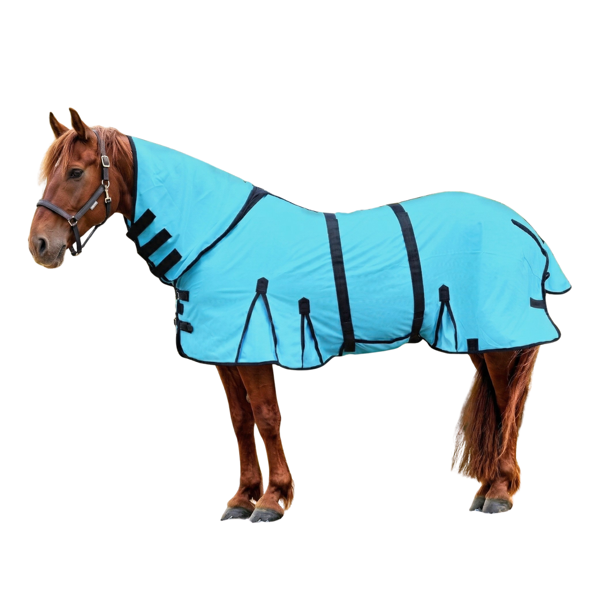 Resistance Durable Mesh Combo Fly Summer Sheet with Belly Guard and Combo Neck Cover