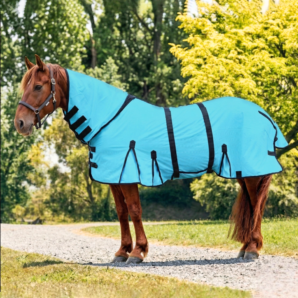 turquoise