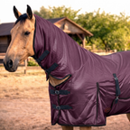 Plum
