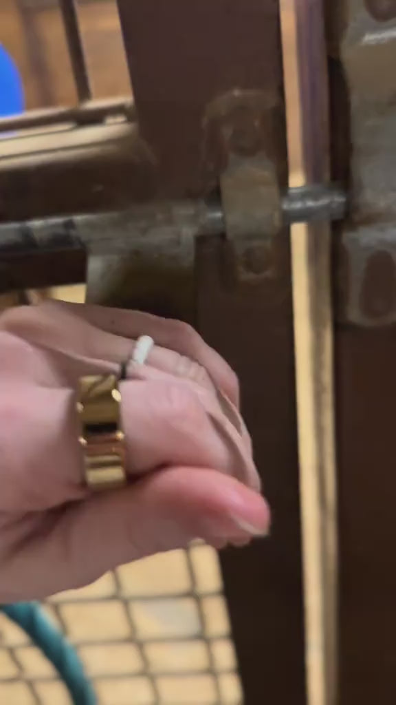 Watch the reel